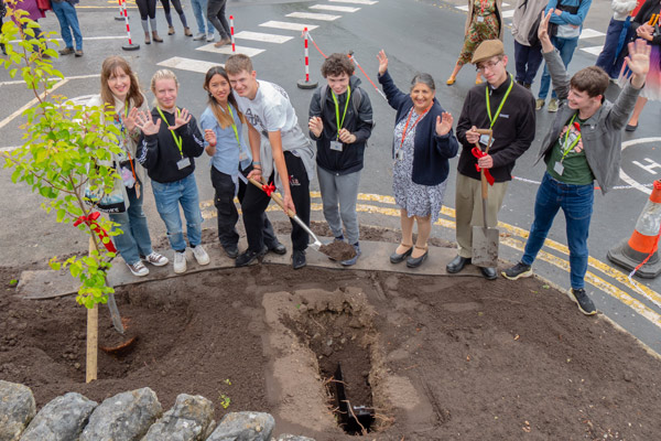 planting a tree