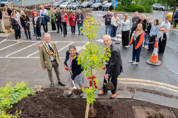 planting a tree